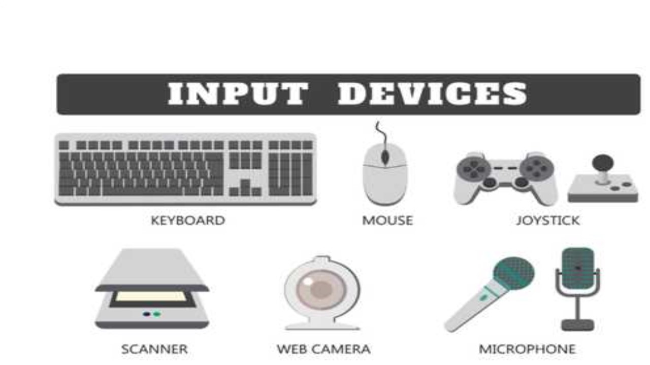 Computer input Devices | All Competitive Exams Important Notes