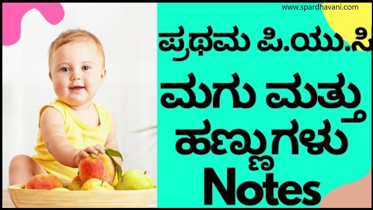 Magu Mattu Hannugalu Kannada Notes | ಮಗು ಮತ್ತು ಹಣ್ಣುಗಳು ಸಾರಾಂಶ