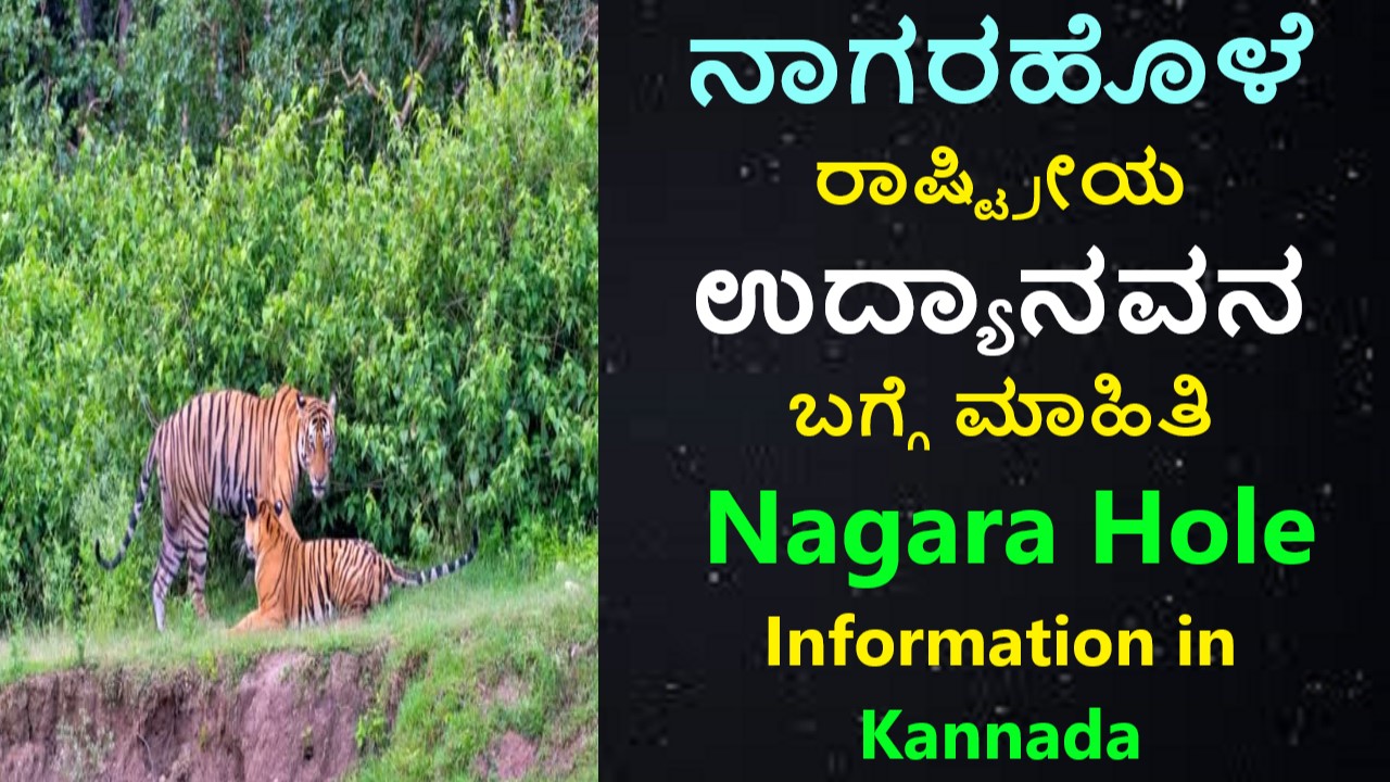 ನಾಗರಹೊಳೆ ರಾಷ್ಟ್ರೀಯ ಉದ್ಯಾನವನ ಬಗ್ಗೆ ಮಾಹಿತಿ । Nagara Hole Information in Kannada